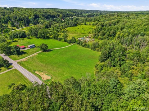 Tiny photo for 8741 Hayes Hollow Road, Colden, NY 14033 (MLS # B1708856)