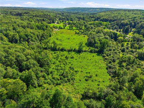 Tiny photo for 8741 Hayes Hollow Road, Colden, NY 14033 (MLS # B1708856)