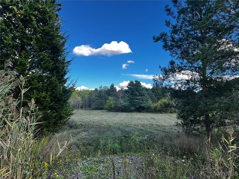 Vacant Land For Sale - VL Creek Road<br/> Lewiston, NY 14092