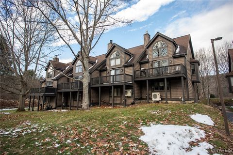 127 Holiview-The Woods Ellicottville NY 14731