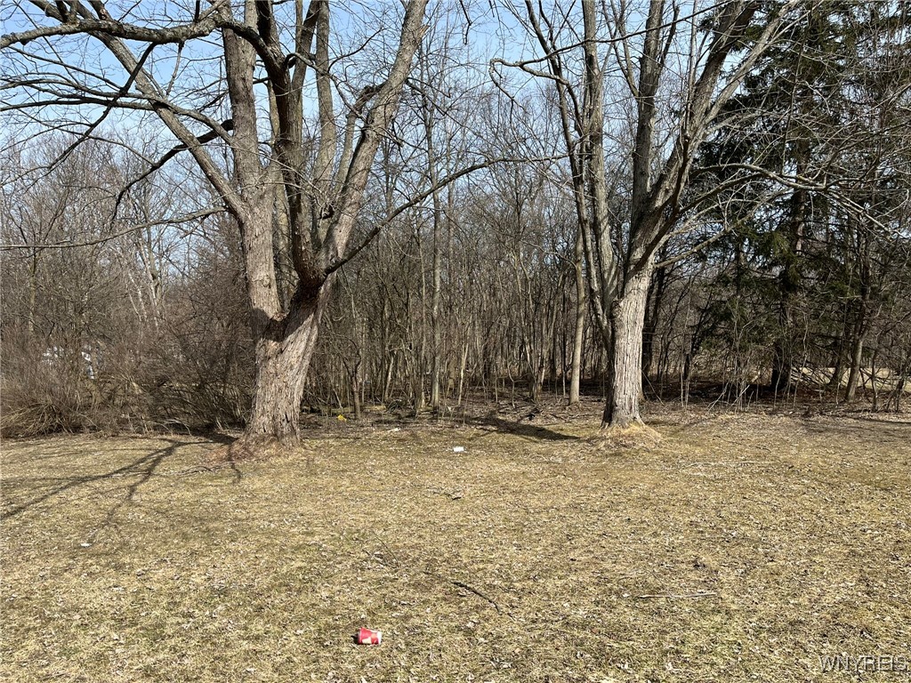 5272 Webster Road, Orchard Park, New York image 27