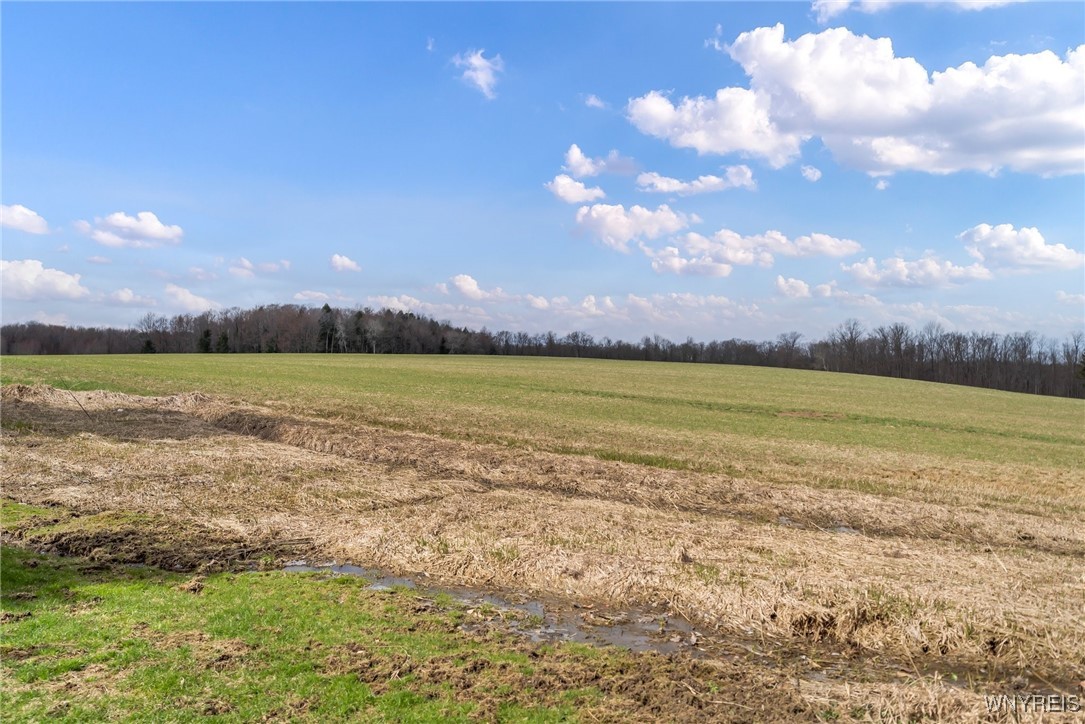 9534 Jennings Road, Eden, New York image 49