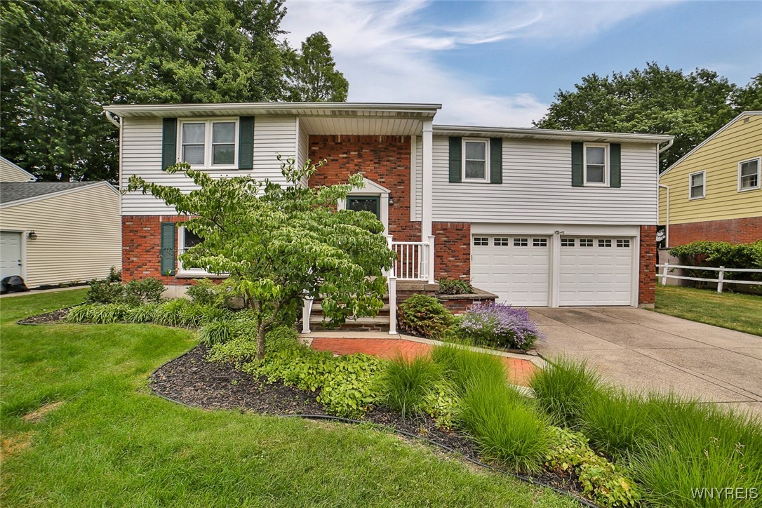46 Macarthur Drive