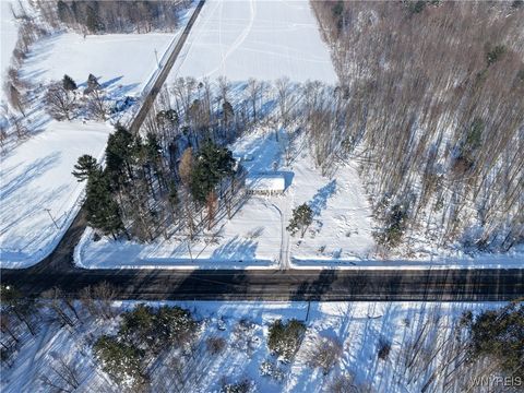 Tiny photo for 9414 Gowanda State Road, Eden, NY 14057 (MLS # B1660373)