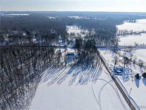Tiny photo for 9414 Gowanda State Road, Eden, NY 14057 (MLS # B1660373)