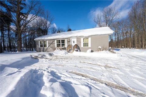 Photo of 9414 Gowanda State Road, Eden, NY 14057 (MLS # B1660373)