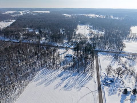 Tiny photo for 9414 Gowanda State Road, Eden, NY 14057 (MLS # B1660373)
