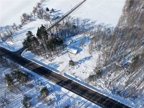 Tiny photo for 9414 Gowanda State Road, Eden, NY 14057 (MLS # B1660373)