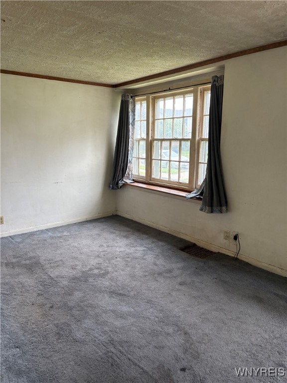 339 Okell Street, Buffalo, New York image 5