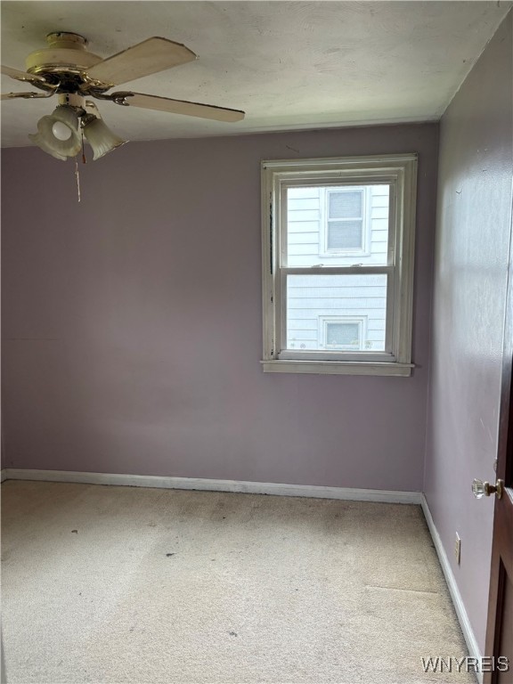339 Okell Street, Buffalo, New York image 14