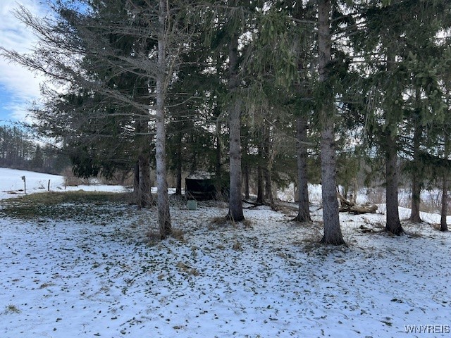 13191 Whitney Road, Holland, New York image 3