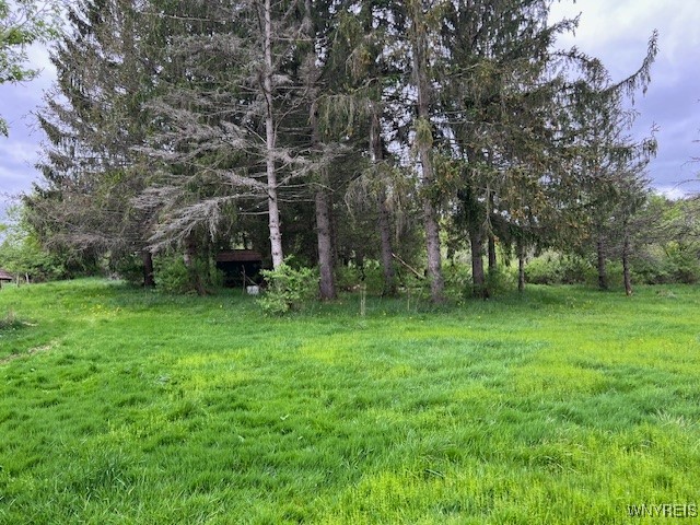 13191 Whitney Road, Holland, New York image 3