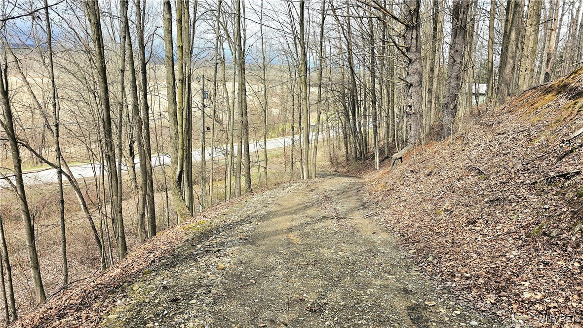 9388 Council House Road, Caneadea, New York image 41