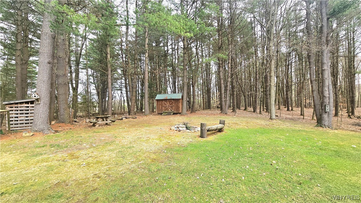 9388 Council House Road, Caneadea, New York image 9