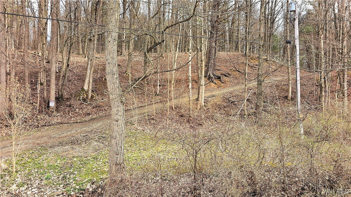 9388 Council House Road, Caneadea, New York image 44