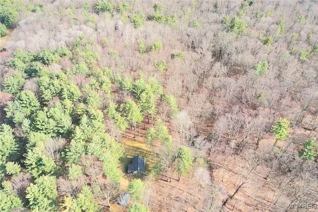9388 Council House Road, Caneadea, New York image 37