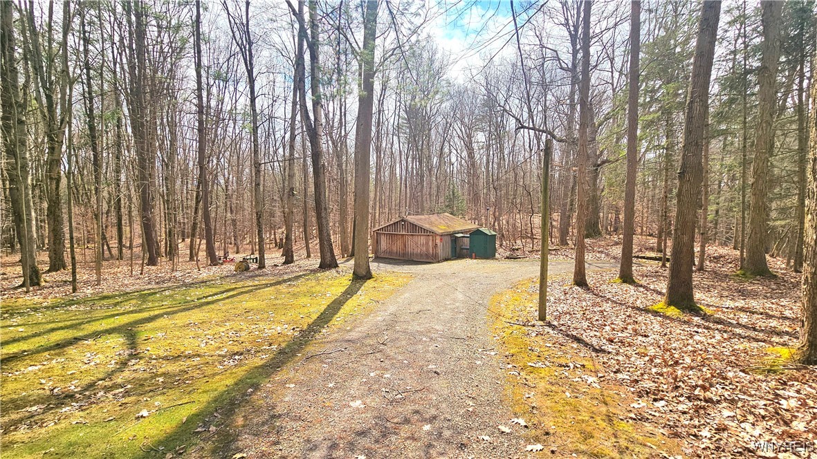 9388 Council House Road, Caneadea, New York image 2