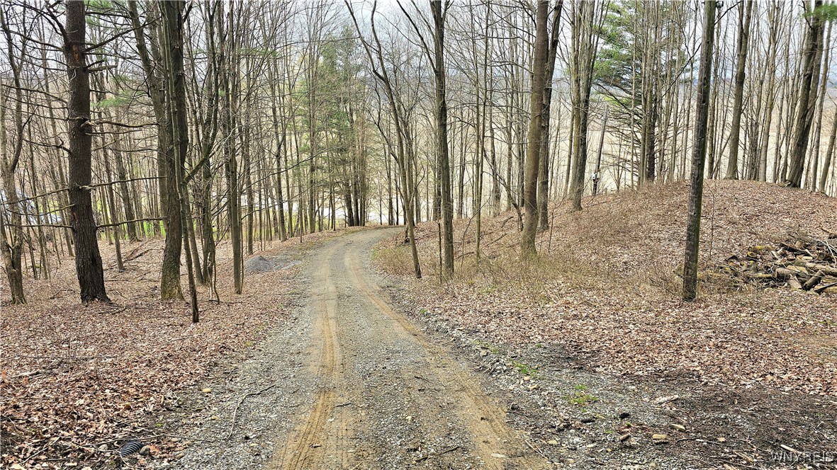 9388 Council House Road, Caneadea, New York image 42