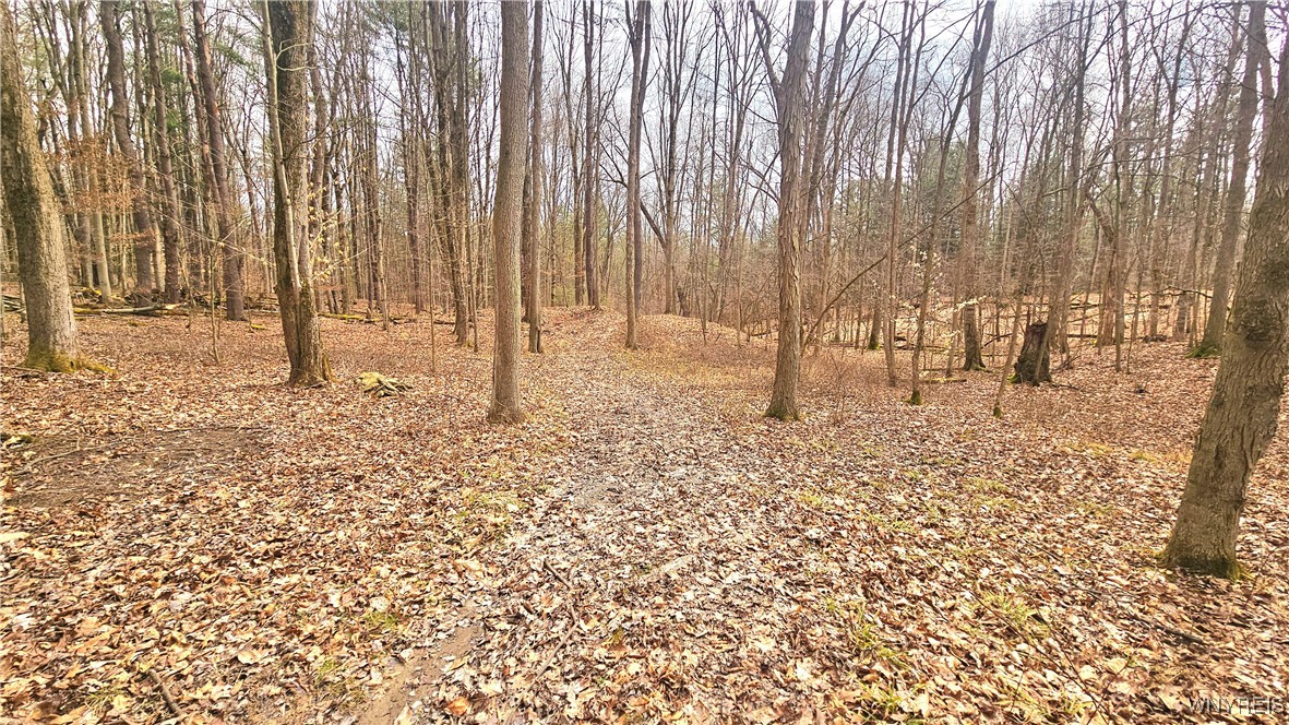9388 Council House Road, Caneadea, New York image 34