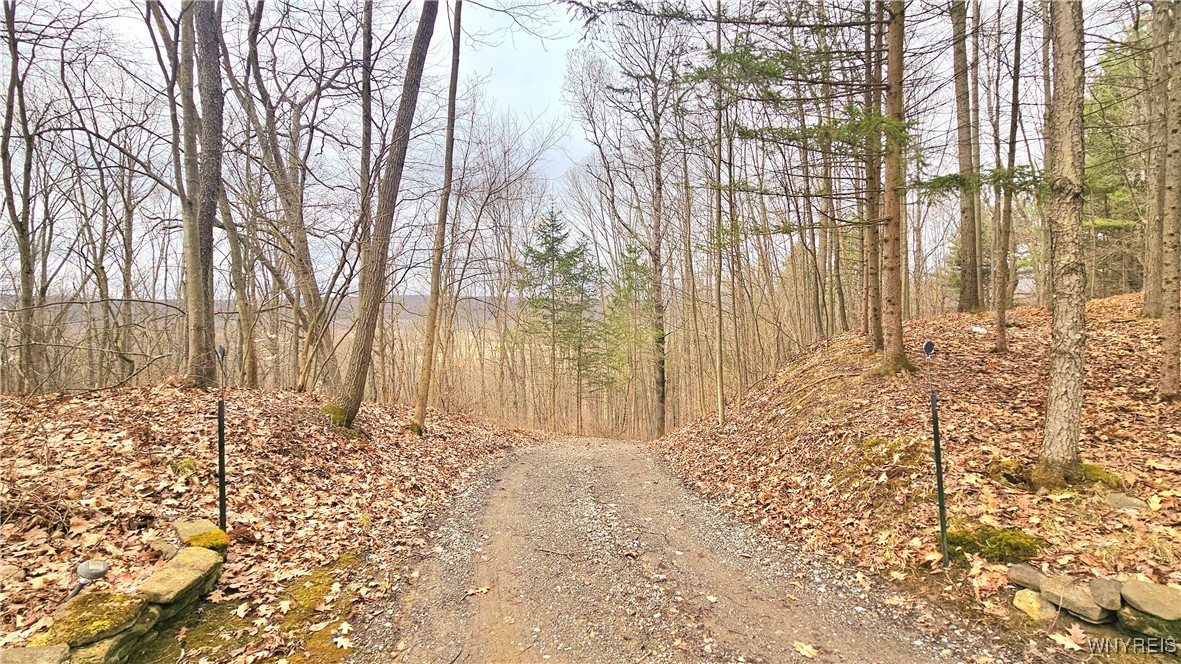 9388 Council House Road, Caneadea, New York image 40