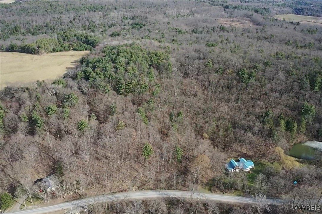 9388 Council House Road, Caneadea, New York image 39