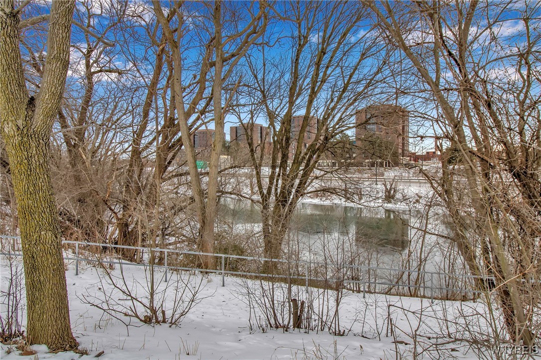 35 Howell Street, Buffalo, New York image 7