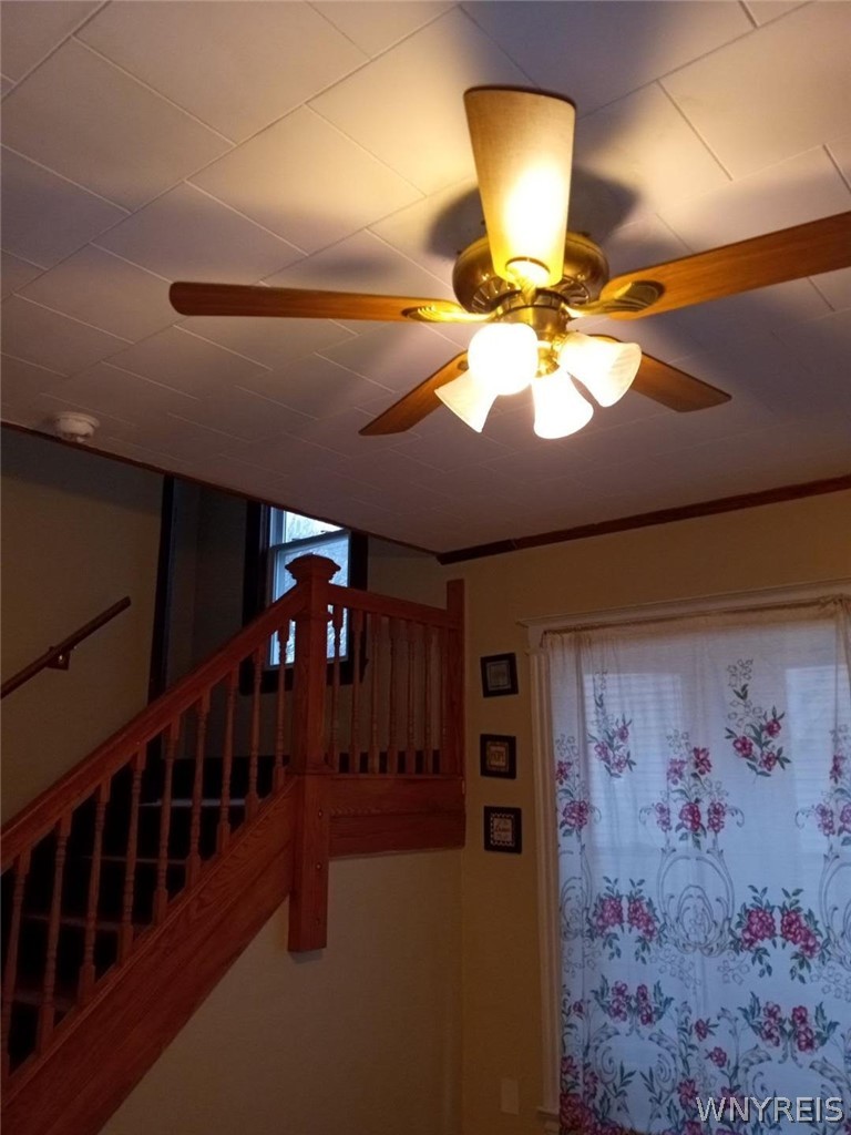 233 Flower City Park