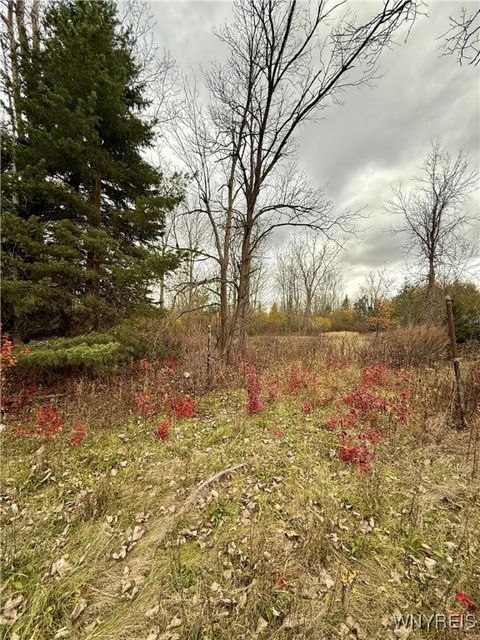 4300 N French Road Amherst NY 14051