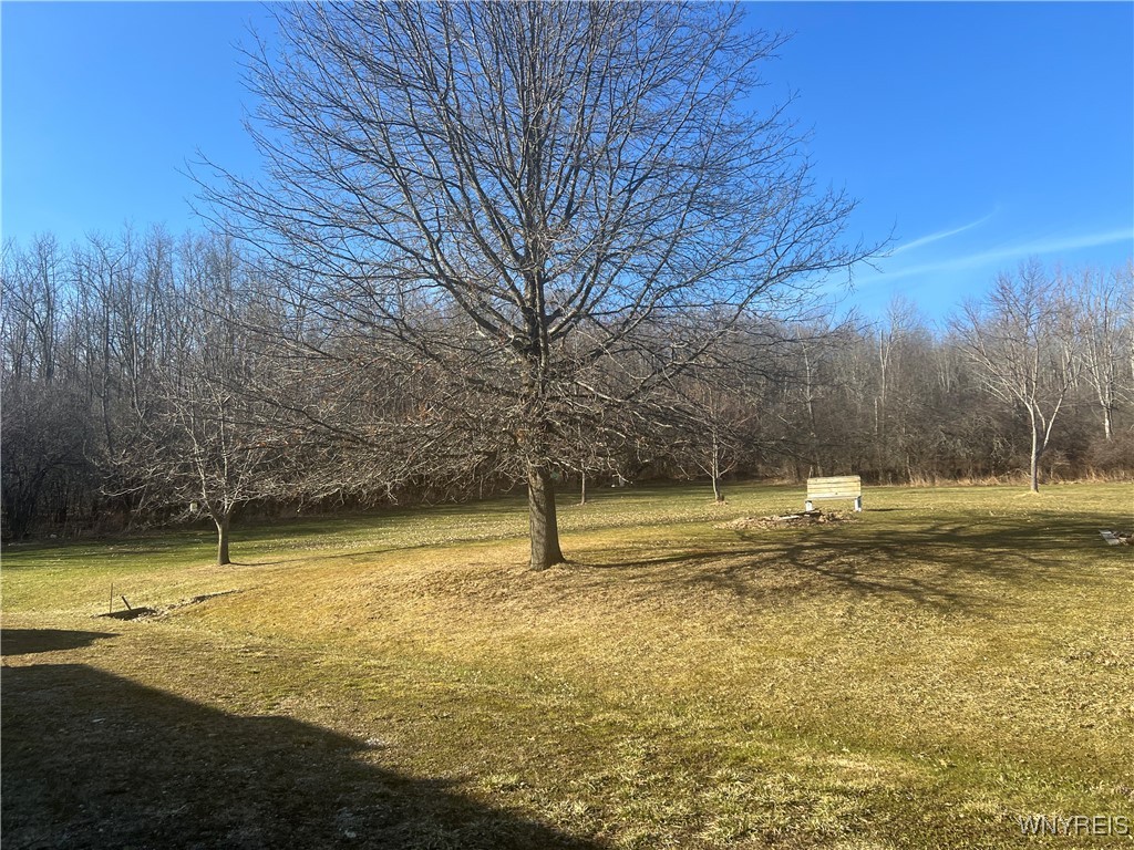 1450 Ryan Road, Almond, New York image 2