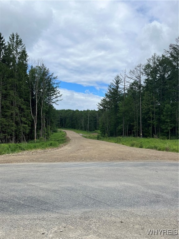 TBB Lot #22 42 Degrees North, Ellicottville, New York image 20
