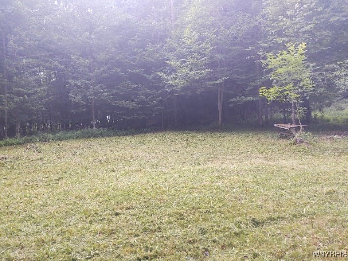 449 Wood Road, Harpersfield, New York image 2