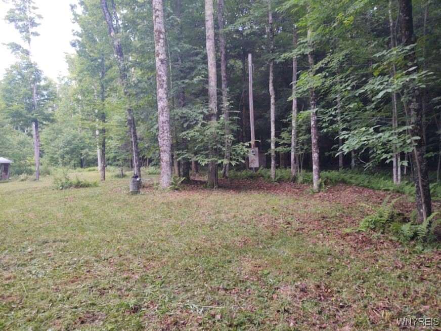 449 Wood Road, Harpersfield, New York image 1