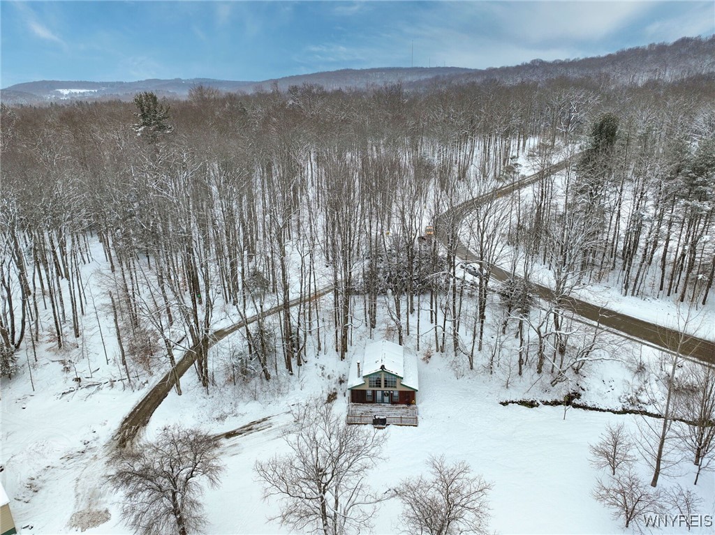 10496 Pleasant Valley Road, Yorkshire, New York image 42