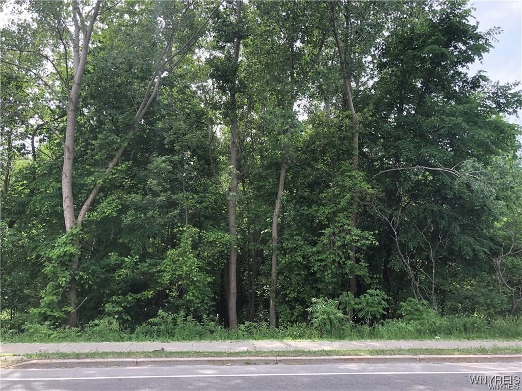 3370 Niagara Falls Blvd, Amherst, New York image 1
