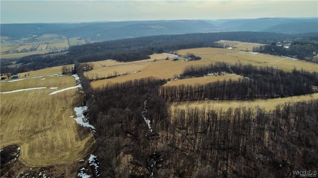 7839 Kellogg Hill Road, Leon, New York image 3