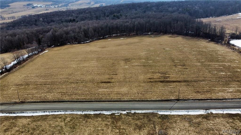 7839 Kellogg Hill Road, Leon, New York image 19