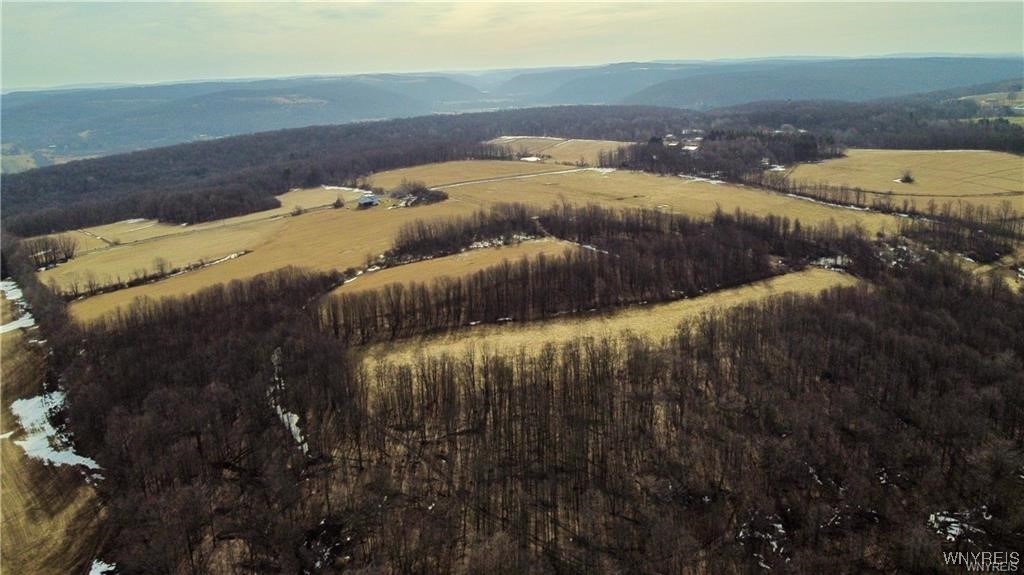 7839 Kellogg Hill Road, Leon, New York image 2