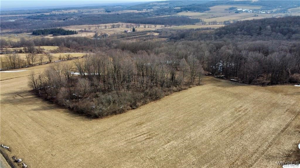 7839 Kellogg Hill Road, Leon, New York image 22