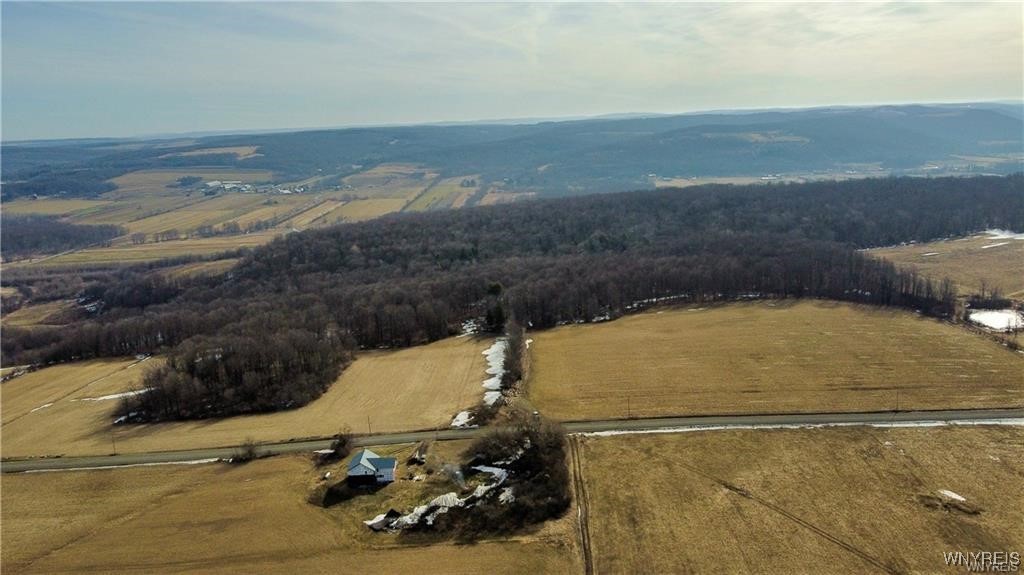 7839 Kellogg Hill Road, Leon, New York image 1
