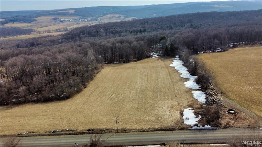 7839 Kellogg Hill Road, Leon, New York image 21