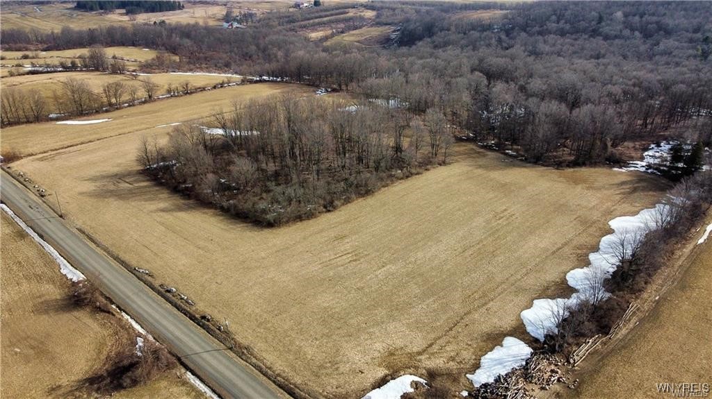 7839 Kellogg Hill Road, Leon, New York image 23