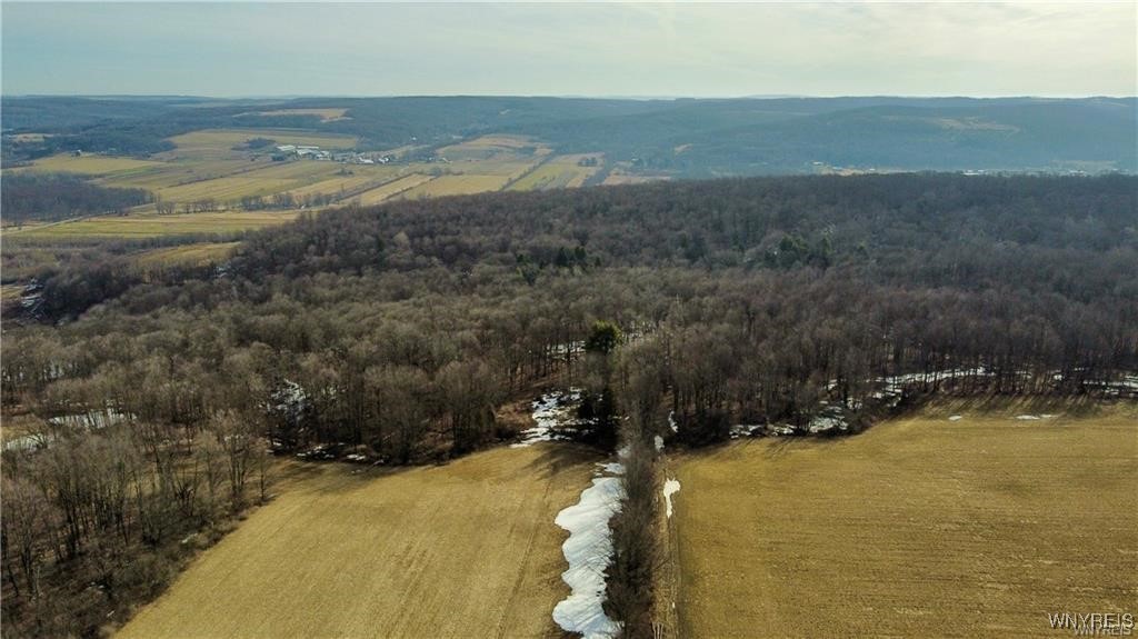 7839 Kellogg Hill Road, Leon, New York image 20