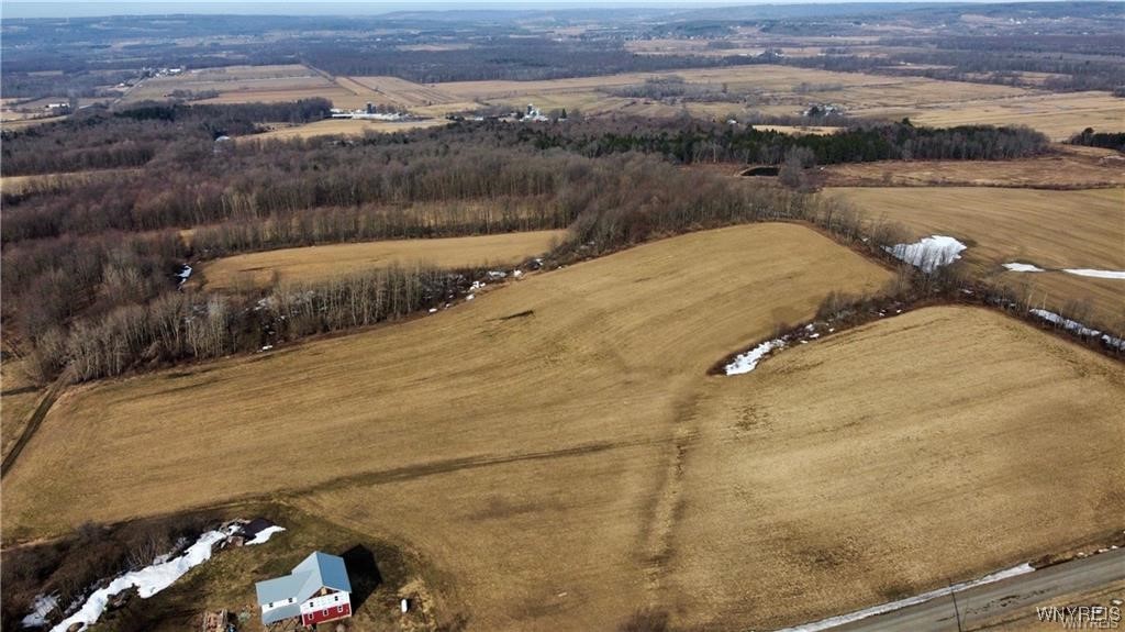 7839 Kellogg Hill Road, Leon, New York image 16