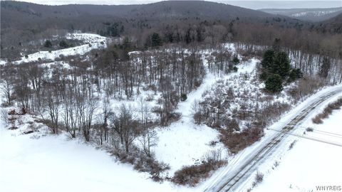 Vacant Land For Sale - Barker Run Road<br/> Great Valley, NY 14741
