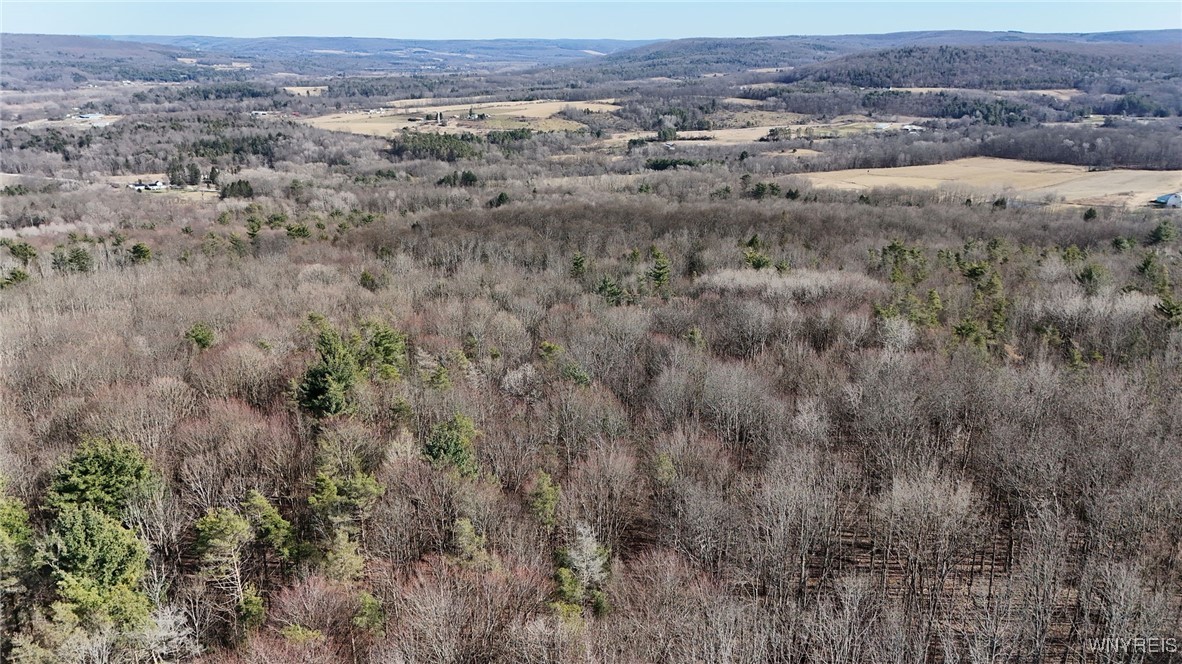 5372 Gleason Hill Road, Belfast, New York image 10