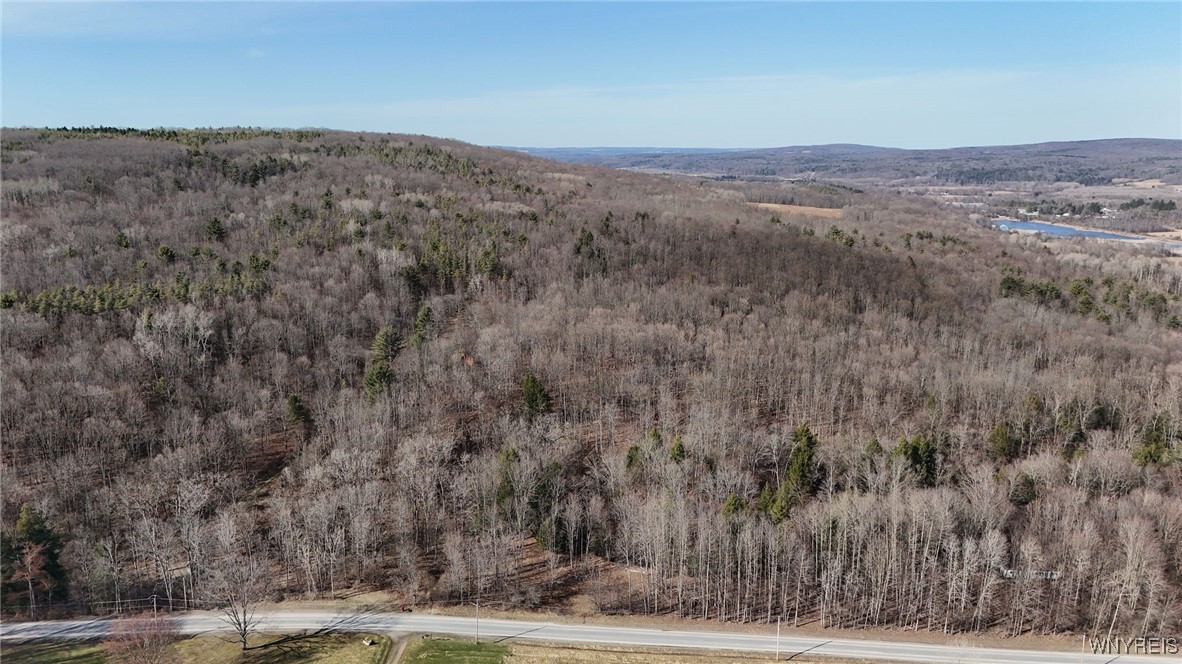 5372 Gleason Hill Road, Belfast, New York image 17