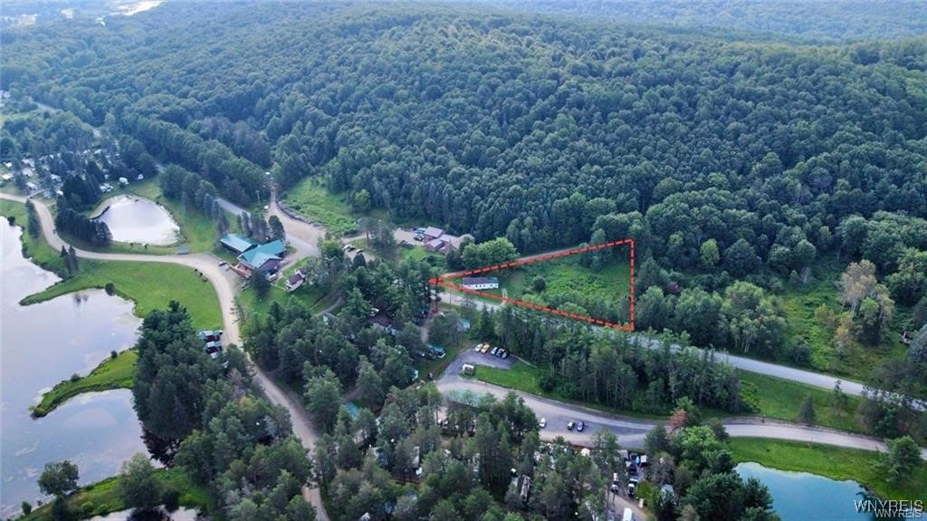 7001 Plato Road, East Otto, New York image 13
