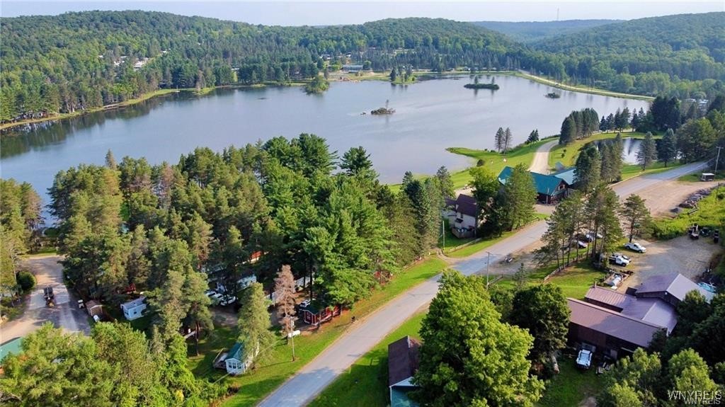 7001 Plato Road, East Otto, New York image 10
