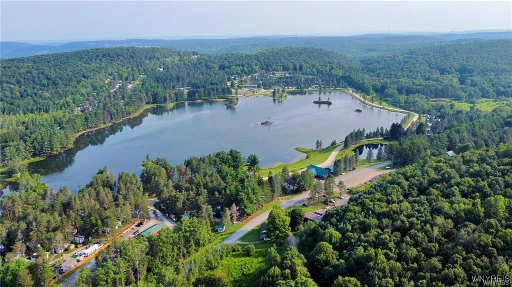7001 Plato Road, East Otto, New York image 14