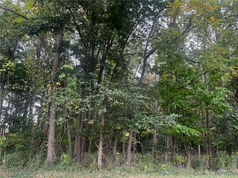 Photo for 573 Niagara Street